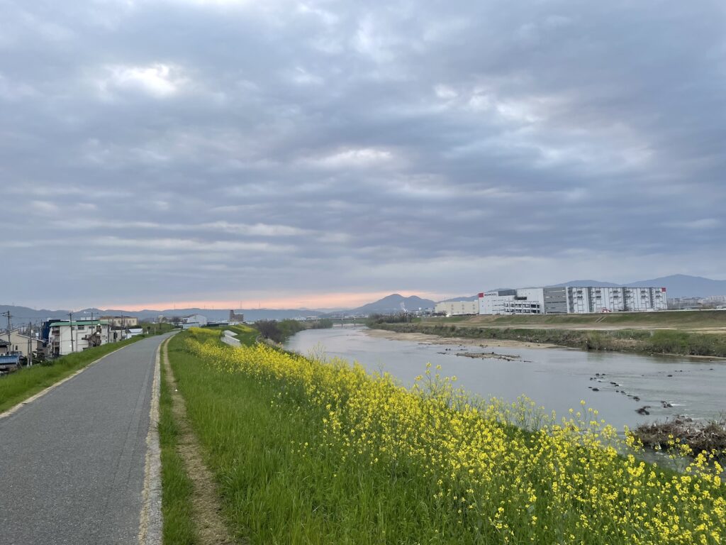 大和川